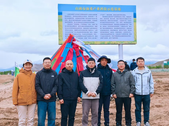 图片3.jpg
