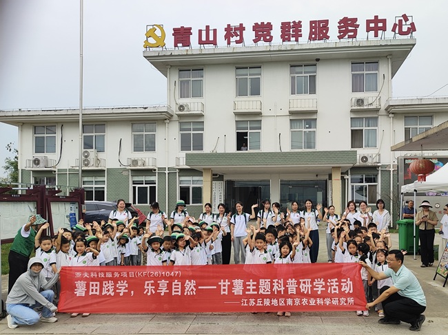 甘薯研学3.jpg